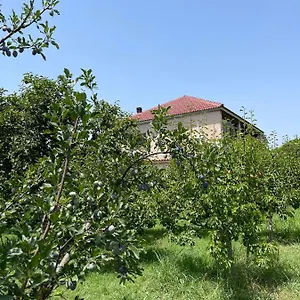 Alloggio in famiglia Mance, Berat
